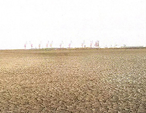 徐州市有几家生产土壤固化土生产厂家